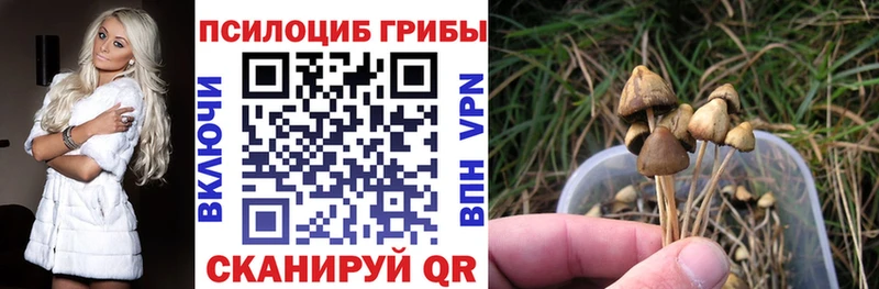Галлюциногенные грибы прущие грибы hydra маркетплейс Кореновск купить цена